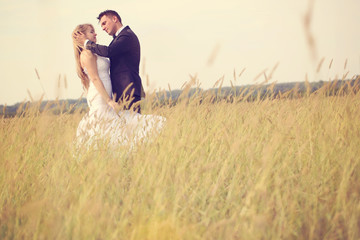 Naklejka na ściany i meble Bride and groom in the fields