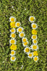 Blüten-Alphabet Buchstabe N