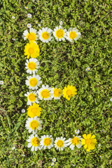 Blüten-Alphabet Buchstabe E