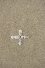 Fototapeta na wymiar Plus-Zeichen aus Schneckenhäuschen im Sand