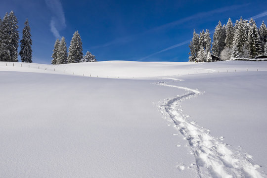 Spur von Schneeschuhwanderern im Schnee