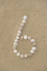 Fototapeta na wymiar Zahl 6 aus Schneckenhäuschen im Sand