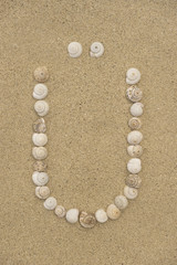 Alphabet Buchstabe Ü aus Schneckenhäuschen