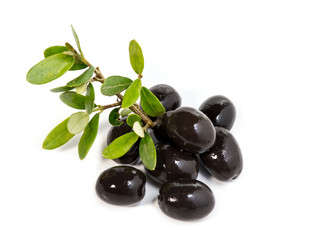 Olive Nere e Ramoscello di Olivo