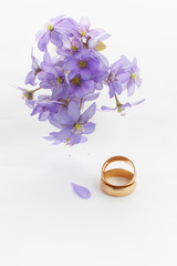 Two golden wedding rings and violets