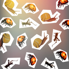 Vector animal background..