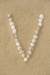 Alphabet Buchstabe V aus Schneckenhäuschen