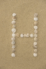 Alphabet Buchstabe H aus Schneckenhäuschen