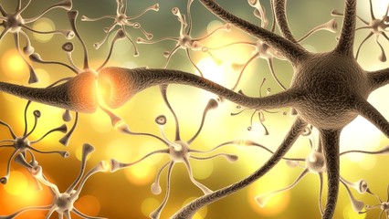 Nerve Cell. 3D. Neurons