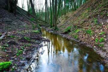 Fototapeta na wymiar Small river in springtime forest