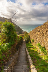 Street in the seaside town in the National Park of Cinque Terre,