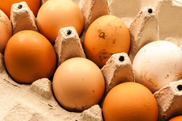 Eier aus eigener Haltung