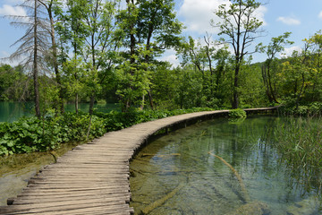 Woodway in Plitvice Lakes National Park, Croatia