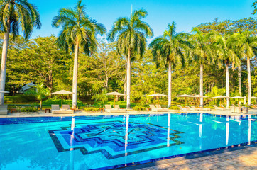 Amazing view of deck chairs and high palm trees at the pool