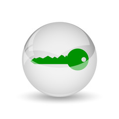 Key icon
