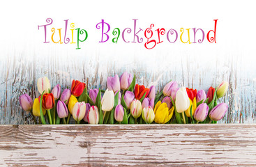 Beautiful tulips background