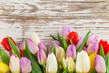 Beautiful tulips background