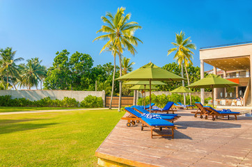 Blue sunbeds at the swimming pool against palm trees