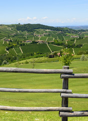 Summer landscape in Langhe (Italy)
