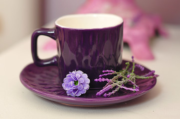 Cup and saucer