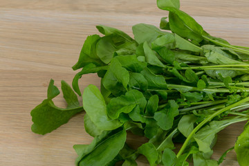 Rucola leaves