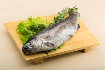 Raw fresh trout