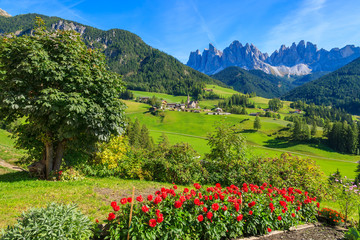 Red flowers and view of Val di Funes mountain valley, Dolomites