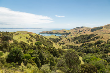 Landscape of a coastline at Wilson Bay, New Zealand