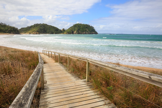 Beach entrance in New Zealand