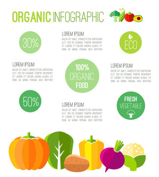 Organic infographic fresh vegetables illustration