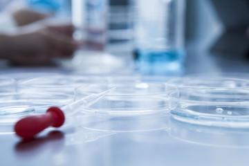 Dropper and petri dish in the laboratory