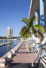 Obraz premium Walking in Tampa