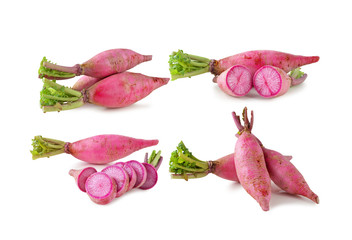 party loyalty radish