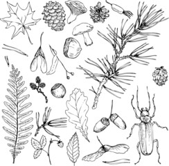 big set of forest objects