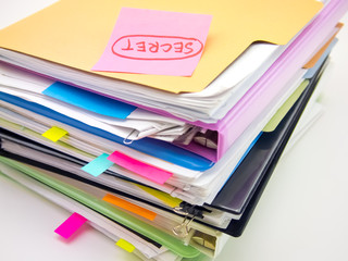The Pile of Business Documents; Secret