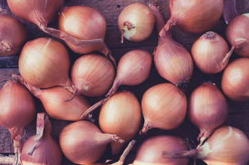 Onion harvest for background