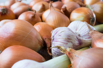 Stocks of onion and garlic