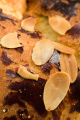 Detail of Typical homemade czech Easter Cake