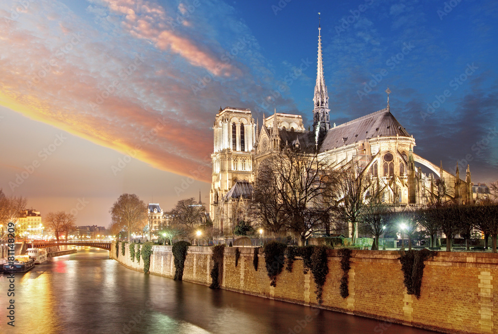 Wall mural Paris - Notre Dame