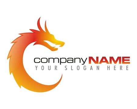 dragon fire flame burn image logo vector