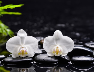 Fototapeta na wymiar Still life with two gardenia with candle on black pebbles 