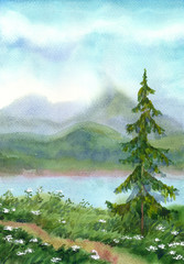 Fototapeta premium Watercolor landscape. Spruce near the trail on a hill