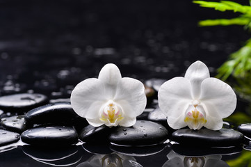 Fototapeta na wymiar white orchid and green leaf with therapy stones
