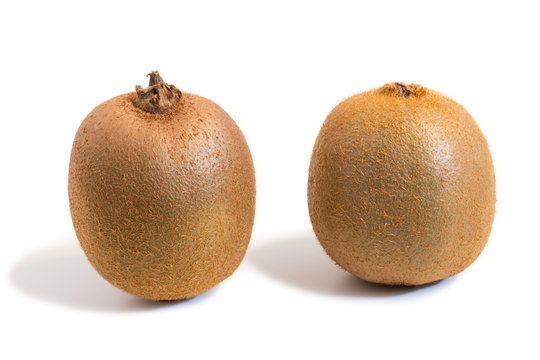 Closeup of two kiwifruits with shadow isolated on white