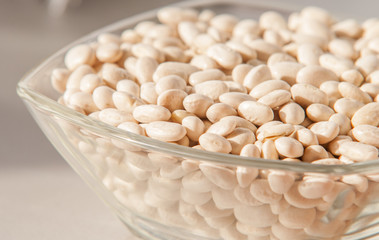 White kidney beans top view close up