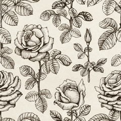 Seamless pattern with rose illustrations