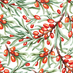 Seamless pattern with watercolor sea buckthorn - 81150453