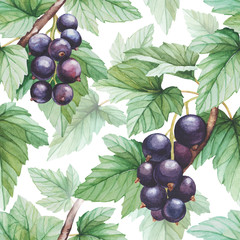 Seamless pattern with watercolor black currants illustration - 81150876