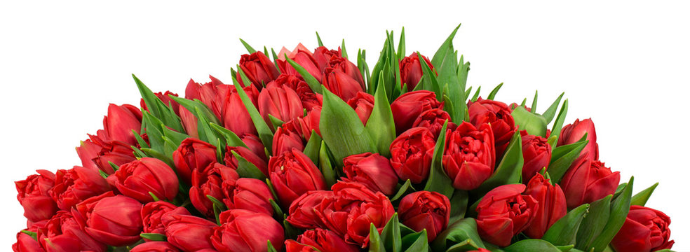 Fototapeta Bukiet tulipanów