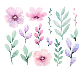 Watercolor  flowers